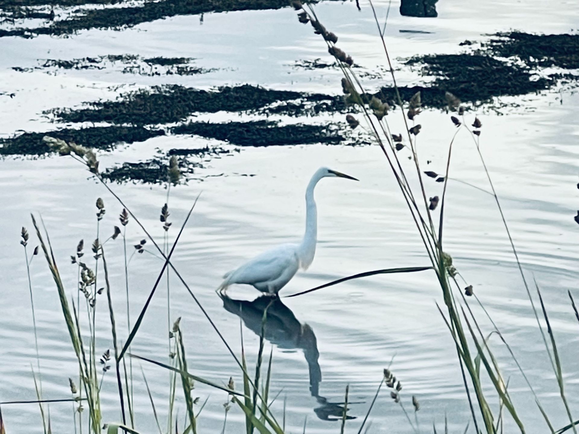 Assorted Tarot Cards On Table